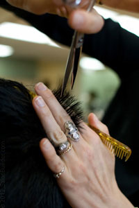 Hair Cuts & Styles Photo